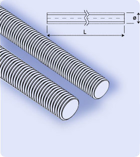 visuel-lTige-filete-gauche-2